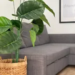 Emanuel Suite